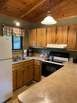 Secluded Bliss Birch Tree Cabin w/ Indoor Hot Tub